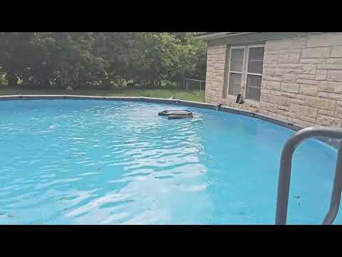 above-ground pool skimmer: (2024 Upgrade) AIPER Surfer S1 Solar Powered Robotic Pool Skimmer with APP Support, Monitor Pool Temperature, 12 Hour Battery L…