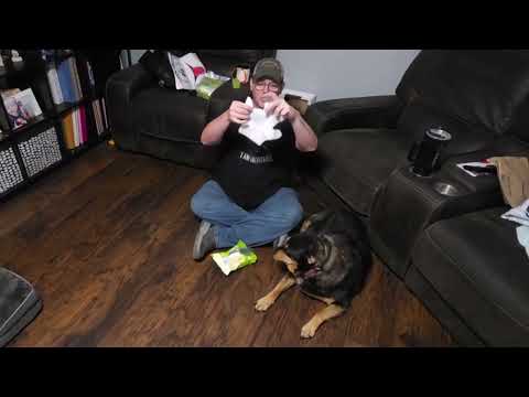 PawSono Pet Cleaning Deodorizing Glove Wipes shown during my hands-on review