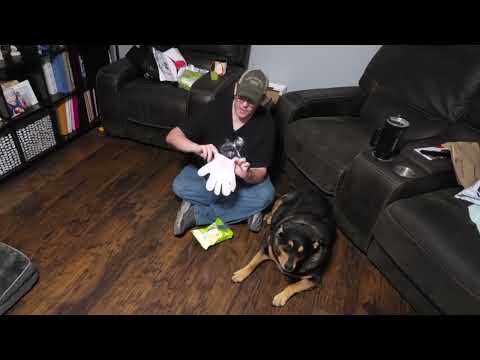 PawSono Pet Cleaning Deodorizing Glove Wipes shown during my hands-on review