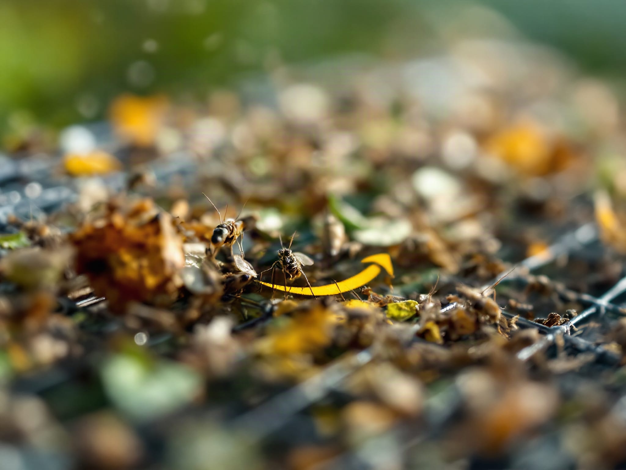 Macro close-up of a bug trap grid densely covered with trapped insects and particles