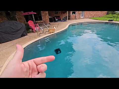 robotic pool vacuum for algae: Aiper Scuba S1 Robotic Pool Cleaner shown during my hands-on review